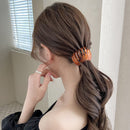 Pince à cheveux magique 1 ACHETÉE = 1 OFFERTE