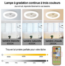 Ventilateur de Plafond Moderne À LED
