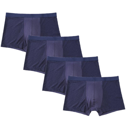 Lot de 4 Caleçons en Bambou