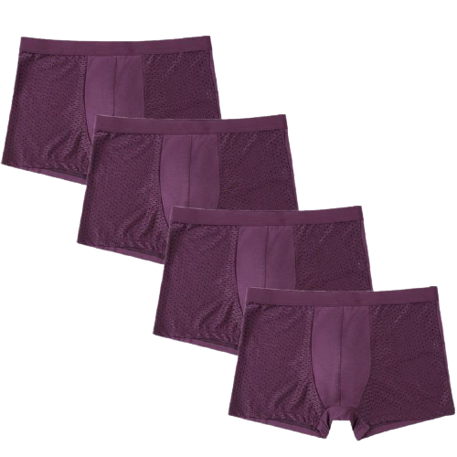 Lot de 4 Caleçons en Bambou